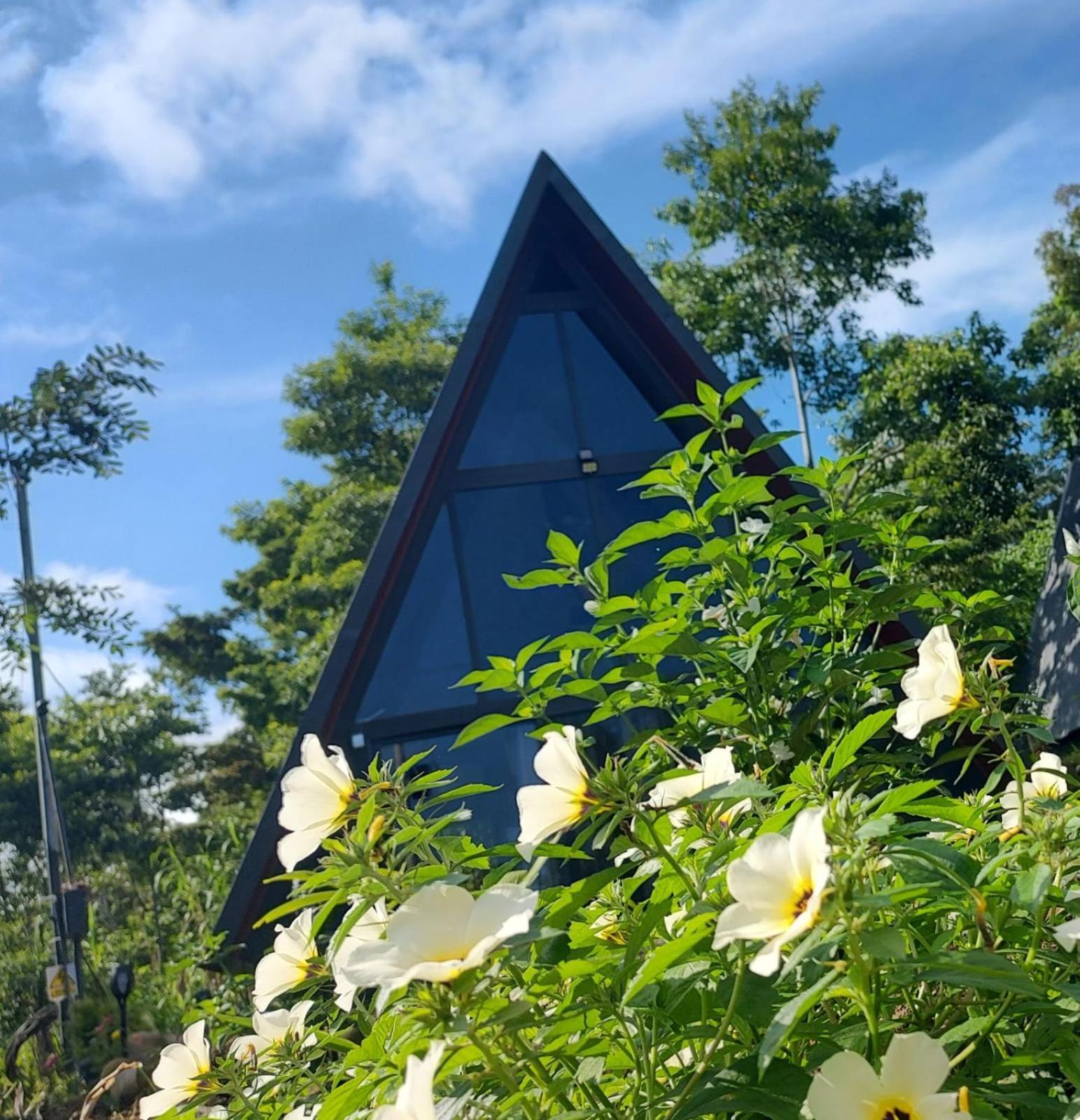 Yarumo Lodge, Rio Celeste Black Chalets Бихагуа Екстериор снимка