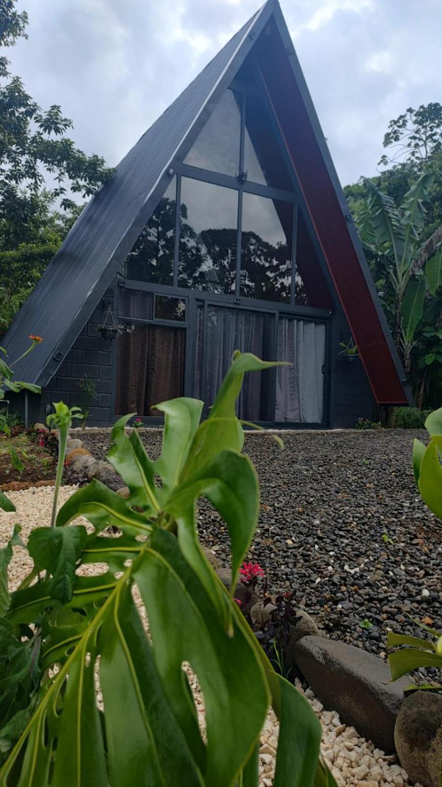 Yarumo Lodge, Rio Celeste Black Chalets Бихагуа Екстериор снимка