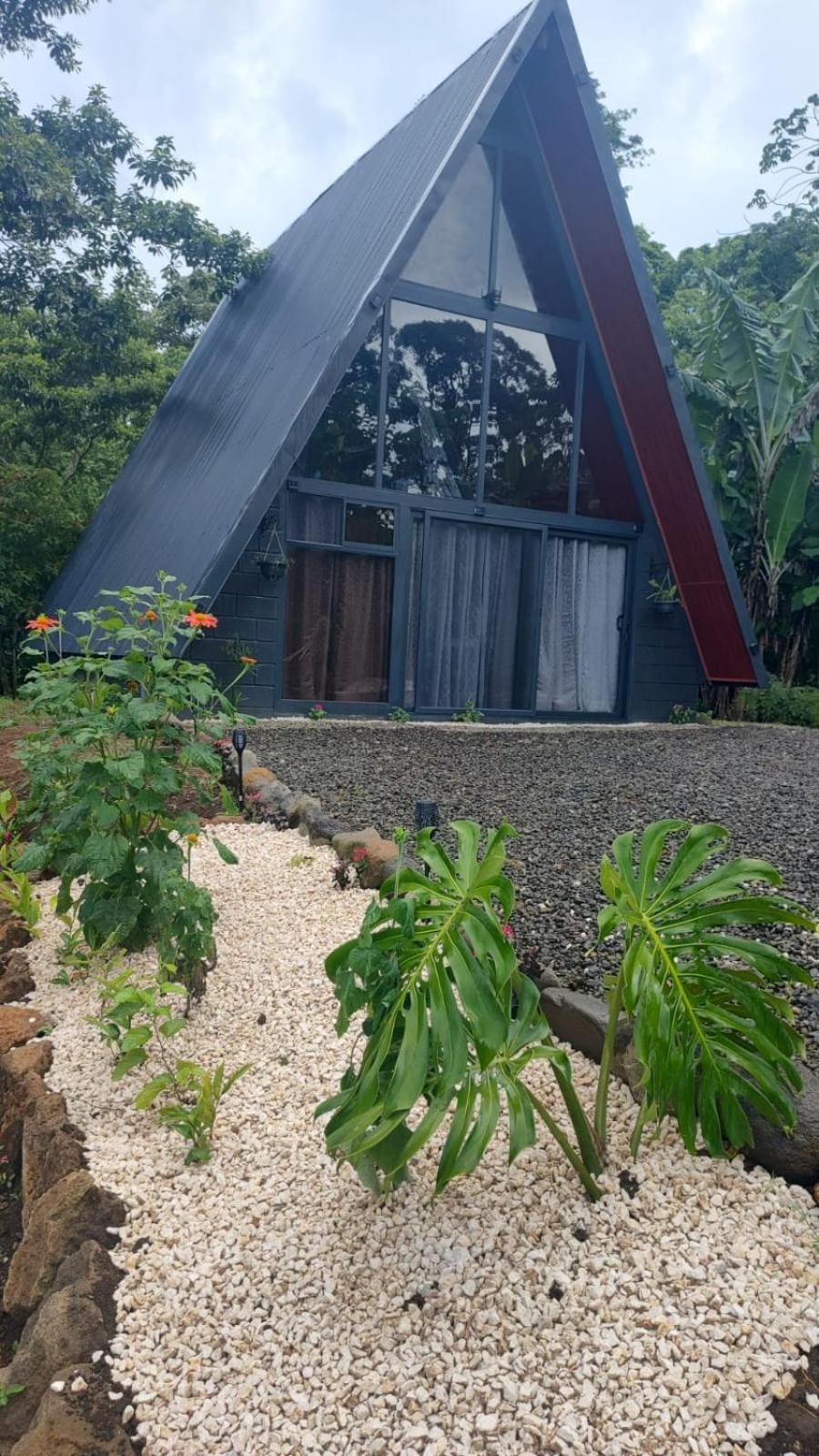 Yarumo Lodge, Rio Celeste Black Chalets Бихагуа Екстериор снимка