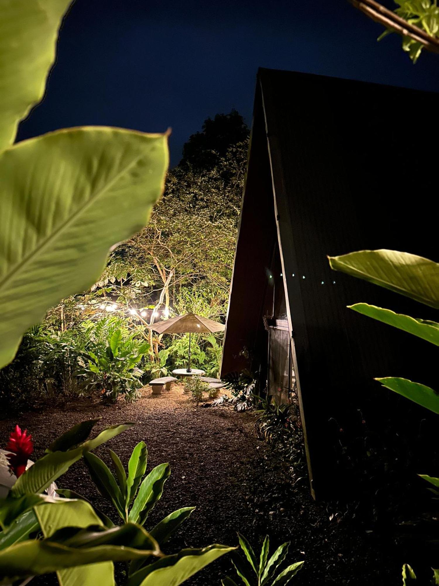 Yarumo Lodge, Rio Celeste Black Chalets Бихагуа Екстериор снимка